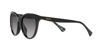 Picture of Ralph by Ralph Lauren Women's RA5294U Universal Fit Cat Eye Sunglasses, Shiny Black, 53 mm