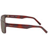 Picture of Ferragamo SF960S Unisex Sunglasses Tortoise, 58