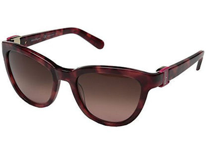 Picture of Salvatore Ferragamo Women's SF817S Havana Red Sunglasses