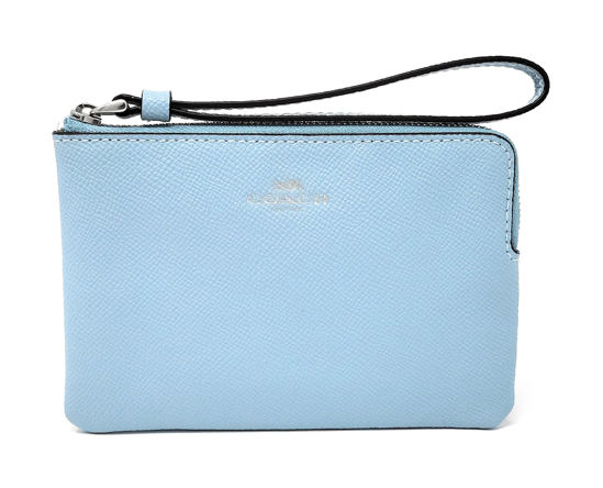 Coach discount wristlet blue