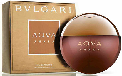 Picture of BVLGARI AQVA Amara Eau de Toilette, 3.4 oz.