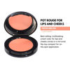 Picture of Bobbi Brown Pot Rouge for Lips And Cheeks (New Packaging), 24 Fresh Melon, 0.13 Ounce