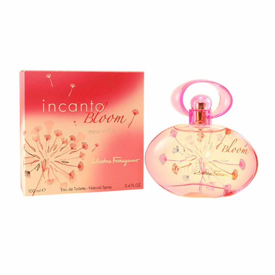 Incanto bloom new edition new arrivals