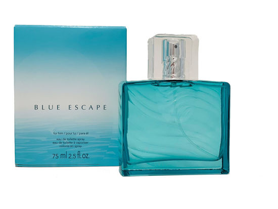 Picture of Avon Blue Escape for Him Eau De Toilette Spray by Vetrarian