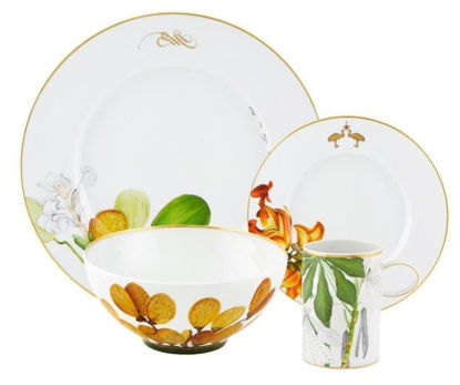 Picture of Vista Alegre Amazonia Porcelain 16 Pieces Dinnerware Set