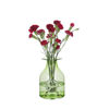 Picture of Dartington Crystal Lily/Green Bottle - Flower Bottles