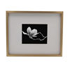 Picture of Mikasa Champagne Gallery Frame-16 x 20 Matted to 8 x 10