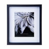 Picture of Mikasa Black Gallery Frame-11 x 14 Matted to 8 x 10