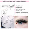 Picture of Premade Fans Eyelash Extensions 5D-D-0.07-16 Short Stem Premade Volume Eyelash Extensions 3D 5D 7D Volume Lash Extensions 9 to 20 mm Pre made Lash Fans C D Curl .07 .10(5D-D-0.07,16mm)