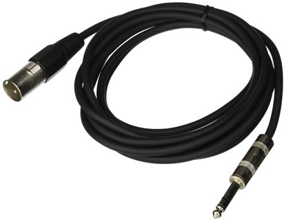 Picture of Seismic Audio SATRXL-M10Black6 10-Feet XLR Male to 1/4-Inch TRS Patch Cable - Black