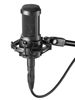 Picture of Audio-Technica AT2035 Cardioid Condenser Microphone Bundle with Pop Filter, XLR Cable, and Austin Bazaar Polishing Cloth