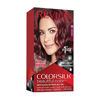 Picture of Revlon ColorSilk Beautiful Color, 48 Burgundy 1 ea (Pack of 6)