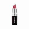 Picture of Covergirl Continuous Color Lipstick, 425 Vintage Wine, 0.13 Oz (Packaging May Vary)