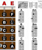 Picture of A New Song Music Laminated Mandolin Easy Chord Chart & Fretboard Notes Chart Poster 8.5"x11" for Notebook