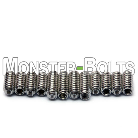 Picture of Guitar Saddle Bridge Height Adjustment Hex Screws set (12) for US/Inch and Metric - MonsterBolts (Inch - #4-40 x 1/4" & 5/16", Stainless Steel)