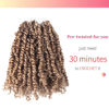 Picture of The BOHOBABE Pre-twisted Passion Twist Crochet Hair 6 Inch Pre-looped Crochet Passion Twist Braiding Hair 8 Packs (27#)