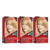 Picture of Permanent Hair Color by Revlon, Permanent Hair Dye, Colorsilk with 100% Gray Coverage, Ammonia-Free, Keratin and Amino Acids, 81 Light Blonde, 4.4 Oz (Pack of 3)