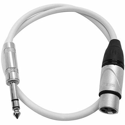 Picture of Seismic Audio - SATRXL-F2White - 2 Foot White XLR Female to 1/4 Inch TRS Patch Cables- 2' Professional Audio Balanced XLR-F to 1/4" Patch Cord