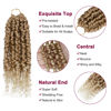 Picture of Passion Twist Hair - 8 Packs 8 Inch Passion Twist Crochet Hair For Black Women, Crochet Pretwisted Curly Hair Passion Twists Synthetic Braiding Hair Extensions(8 Inch 8 Packs, T27/613)