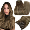 Picture of Full Shine Balayage Clip in Hair Extensions 22 Inch Clip in Extensions Color 4/24/4 Remy Hair Ombre Brown to Honey Blonde Highlight Double Weft Clip in Human Hair Remy Clip in Hair 120 Gram 7Pcs