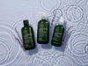 Picture of Tea Tree Lavender Mint Moisturizing Shampoo, Hydrates + Soothes, For Coarse + Dry Hair, 2.5 fl. oz.