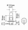 Picture of HELLA H3P50 +50 Performance Bulb, 12V, 55W