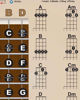 Picture of Banjo Americana Style Easy Chords Rolls & Fretboard Note Chart Instructional Poster for Beginners Chord & Notes | A New Song Music 11"x17"