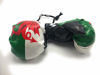 Picture of Red Hat Ent Hanging Car Mirror Mini Boxing Gloves (Wales)