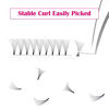 Picture of Premade Lash Fans 15-20mm Mixed Tray Premade Fans Eyelash Extensions 8D Matte Black Pre Fanned Volume Lash Extensions Supplies (8D-0.07-D, 15-20mm)