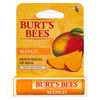 Picture of Burt's Bees Moisturizing Lip Balm, Mango 0.15 oz (Pack of 4)