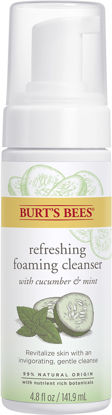 Picture of Burt's Bees Refreshing Foaming Cleanser and Natural Face Wash with Cucumber and Mint, 4.8 Fl Oz