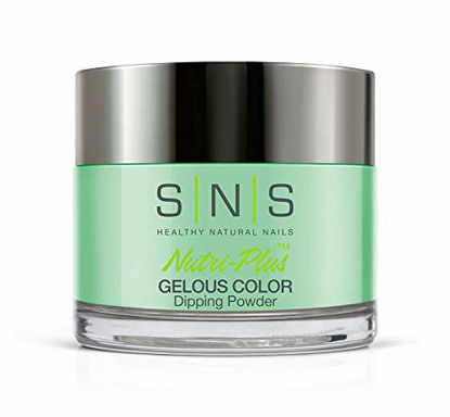 Picture of SNS Nails Dipping Powder No Liquid, No Primer, No UV Light - 19-1oz