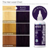 Picture of Kiss Tintation Semi-Permanent Hair Color Treatment 148 mL (5 US fl.oz) (Black Violet)