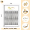 Picture of QUEWEL Cluster Lashes 240Pcs Individual Lashes 10D 0.10D Curl 16mm Knot-Free Lash Extensions Clusters Lashes Soft&Natural False Eyelashes Individual DIY Eyelash Extension at Home(10D 0.10D 16)