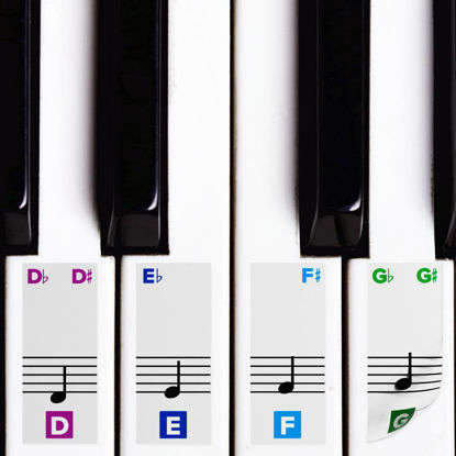Picture of Color Piano Stickers for Keys w/Complete Printed Notes on Grand Staff - Removable w/Double Layer Coating for 49/61 / 76/88 Keyboards