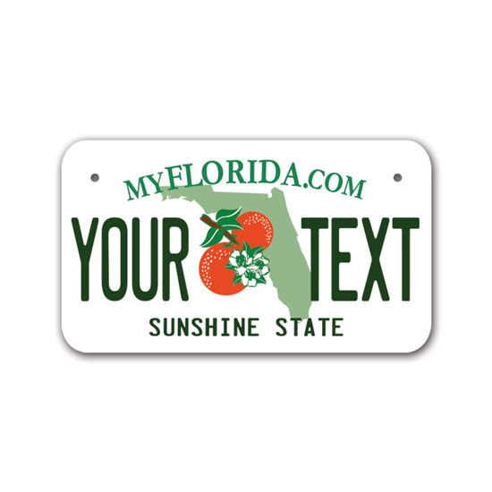 Picture of InkMyPlate Personalized Florida Mini License Plate | Choose from 50 States | Moto 7x4 | Custom License Plate for Kids Power Wheels 7inchX4inch