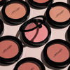 Picture of Wet n Wild Color Icon Blush Powder Makeup, Pink Nudist Society | Matte Natural Glow | Moisturizing Jojoba Oil