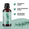 Picture of Pure Rosemary Essential Oil for Aromatherapy - Undiluted Rosemary Oil for Hair Skin and Nails - Cleansing Rosemary Essential Oil for Diffusers Plus Hair Oil for Enhanced Shine and Dry Scalp Treatment