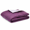 Picture of Amazon Basics Reversible, Lightweight Microfiber Comforter Blanket - Twin / Twin XL, Plum / Light Purple