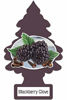 Picture of LITTLE TREES Car Air Freshener | Hanging Paper Tree for Home or Car | Blackberry Clove | 12 Pack