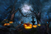 Picture of 7X5ft Evil Pumpkin Head Horror Cemetery Photography Background Dead Tree Branch Grave Halloween Spooky Night Photography Backdrop