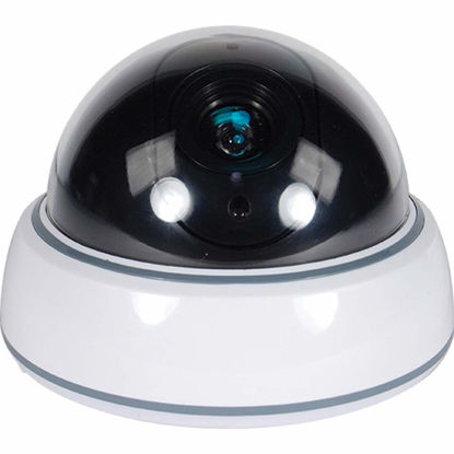 Picture of Safety Technology DM-WHTCM DUMMY DOME CAMERA WITH LED AND WHITE BODY