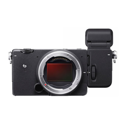 Picture of Sigma FP L Digital Camera + Electronic Viewfinder