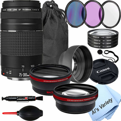 Picture of Canon EF 75-300mm f/4-5.6 III Telephoto Zoom Lens with 2X Telephoto Lens, HD Wide Angle Lens, Filters and Accessories (19 Piece Bundle)