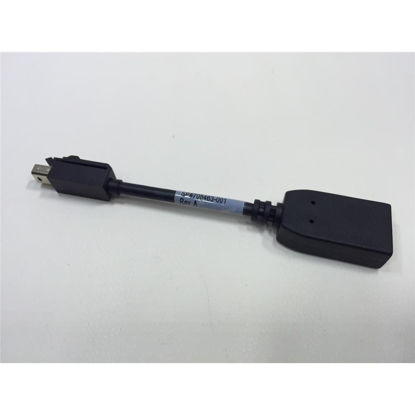 Picture of HP Cable Mini Dp Tp Dp Adapter, 703216-001