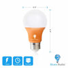 Picture of Bluex Bulbs 2 Pack Bluex LED A19 Orange Light Bulb - 7W (50Watt Equivalent) - E26 Base LED Orange Bulb, Party Decoration, Porch, Home Lighting, Holiday Lighting, Decorative Illumination (Orange)