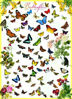 Picture of Butterflies Puzzle, 500-Piece