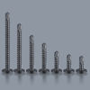 Picture of WensiLon #8 Sheet Metal Self-Tapping Screws 410 Black Stainless Assortment Kit