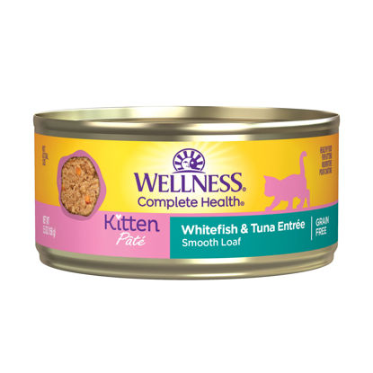 Picture of Wellness Complete Health Grain-Free Wet Canned Kitten Food, Natural Ingredients, Made with Real Meat, All Breeds, Smooth Pate (Kitten, Whitefish, 5.5-Ounce Can, Pack of 24)