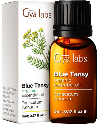 Picture of Gya Labs Organic Blue Tansy Essential Oils for Skin - Therapeutic Grade Blue Tansy Oil for Diffuser, Relaxation & Sleep - Organic Blue Tansy Face Oil for Soap Making (0.17 fl Oz)